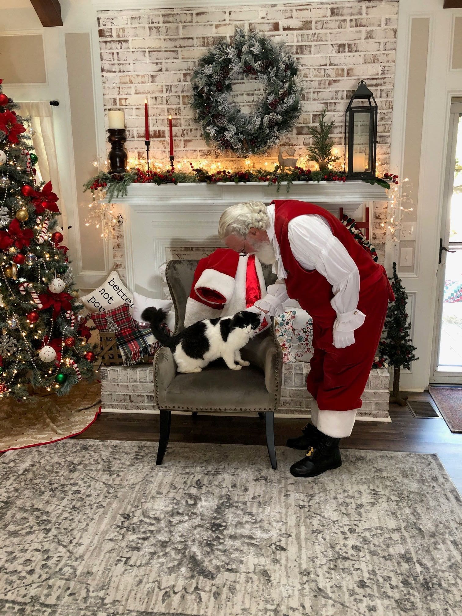 Cat Sitting on Santa's Chair